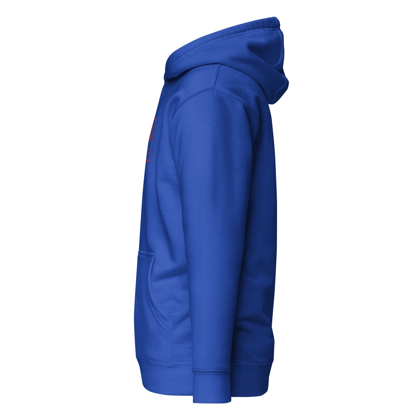 Embroidered hooded sweatshirt