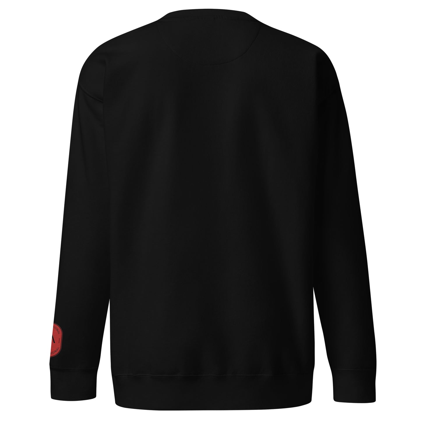 Men's thick sweatshirt