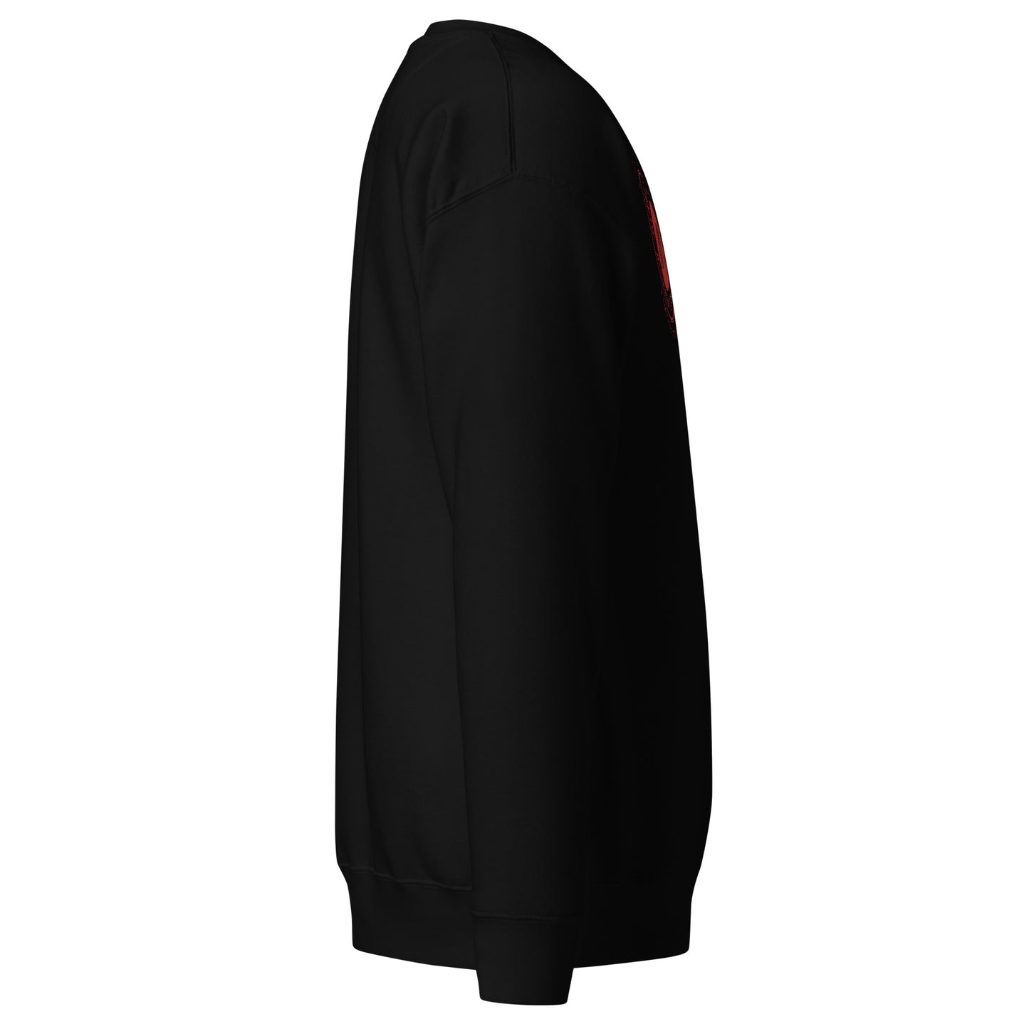Men's thick sweatshirt