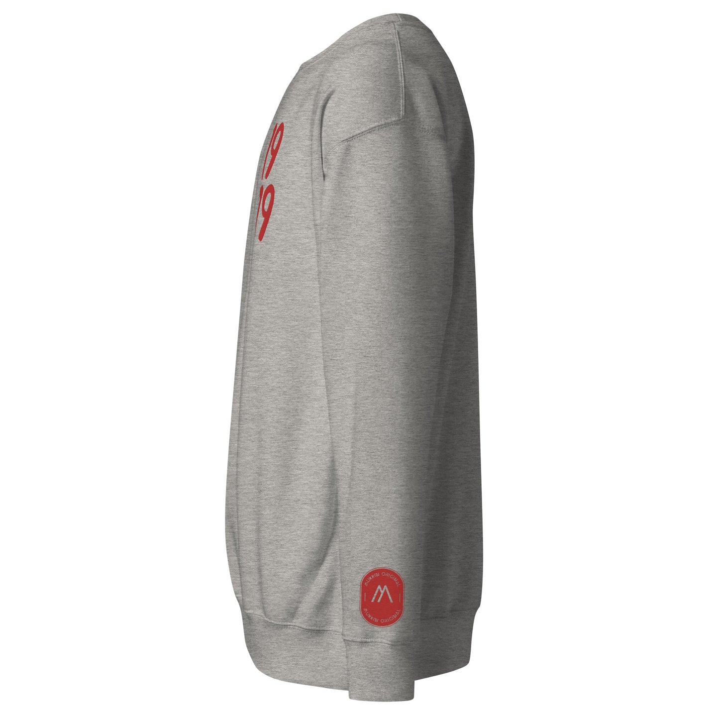 Men's thick sweatshirt