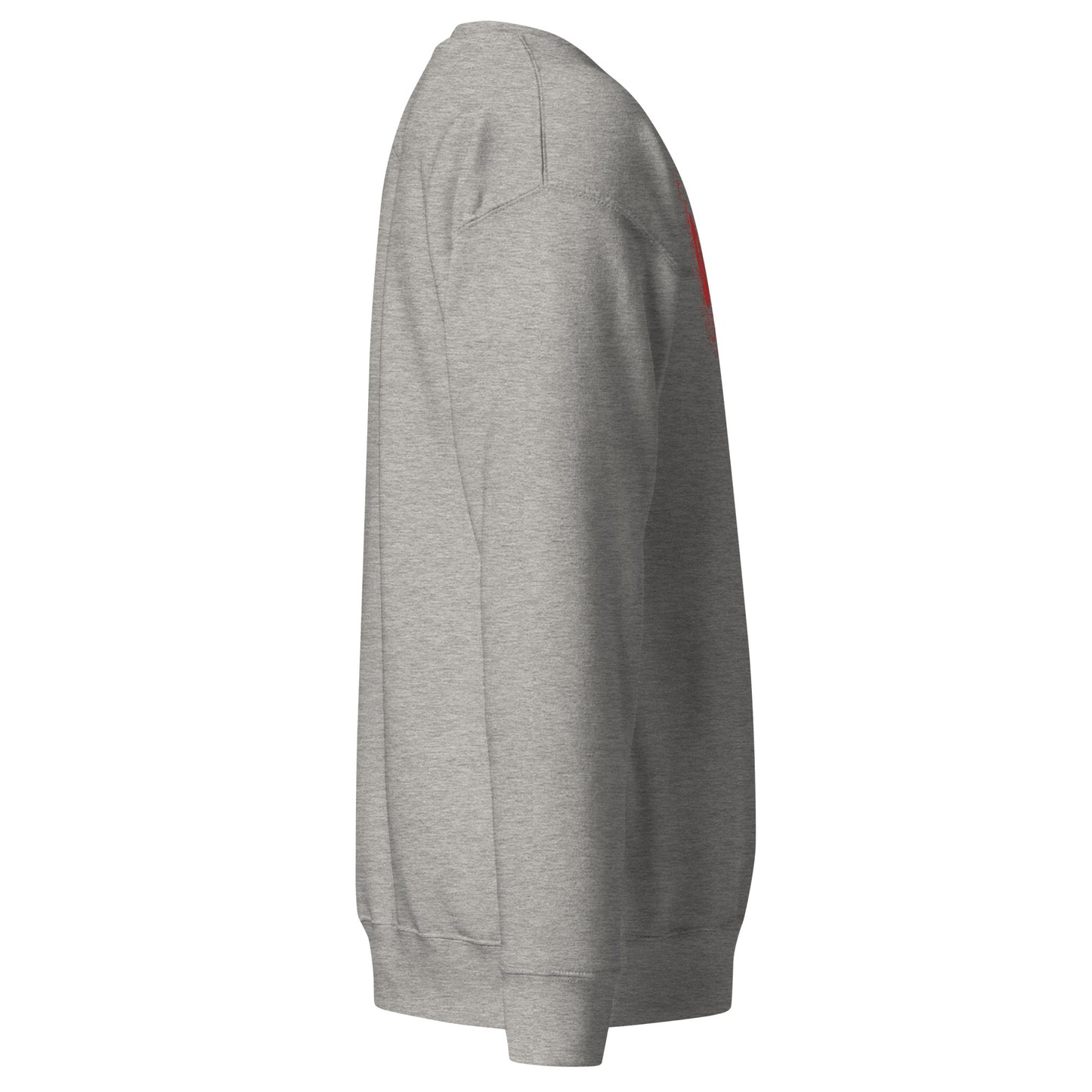 Men's thick sweatshirt