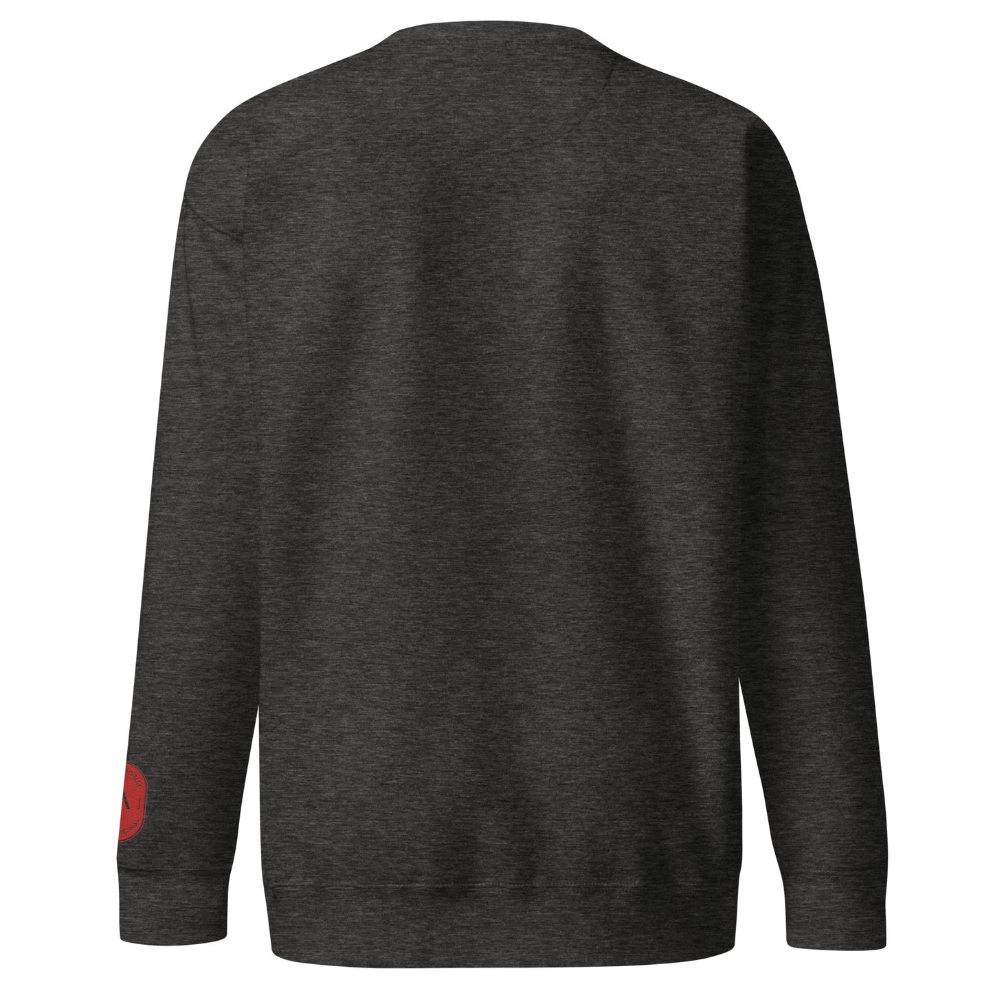 Men's thick sweatshirt