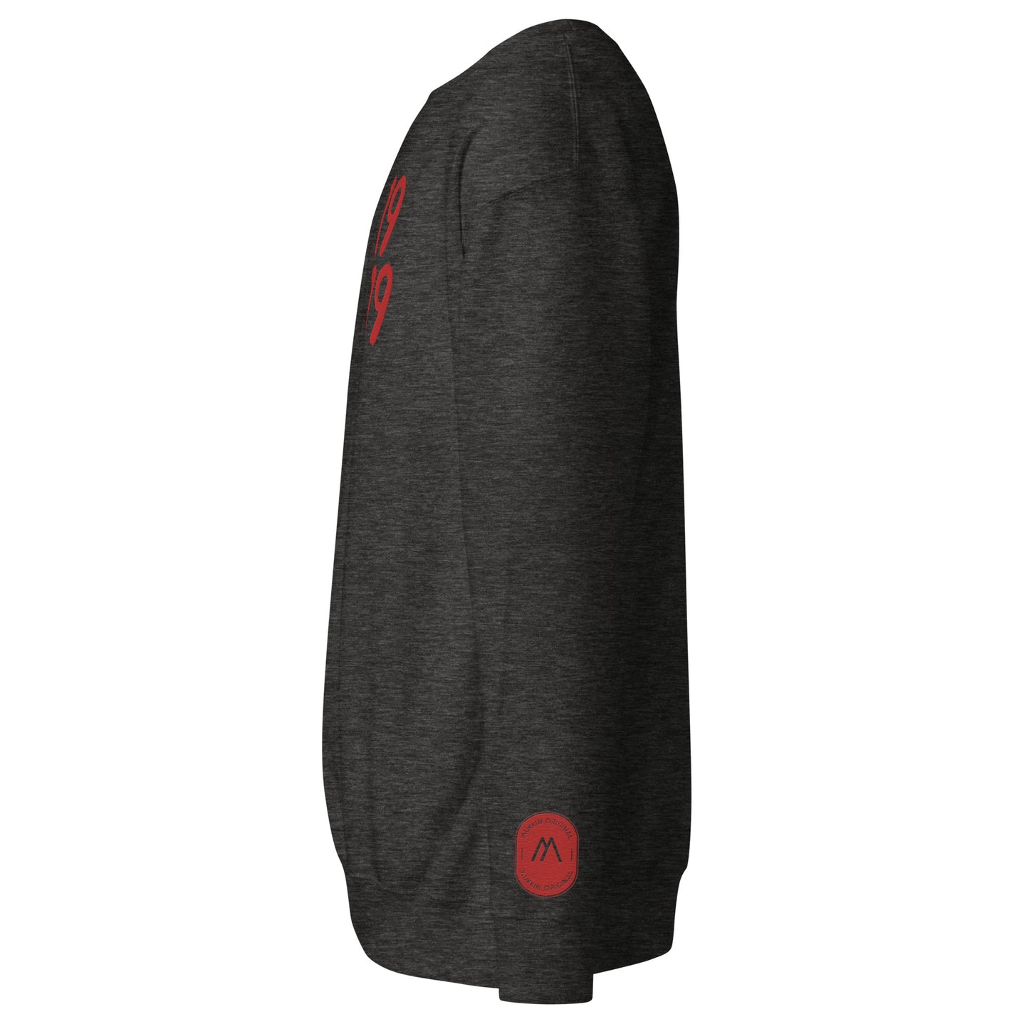 Men's thick sweatshirt