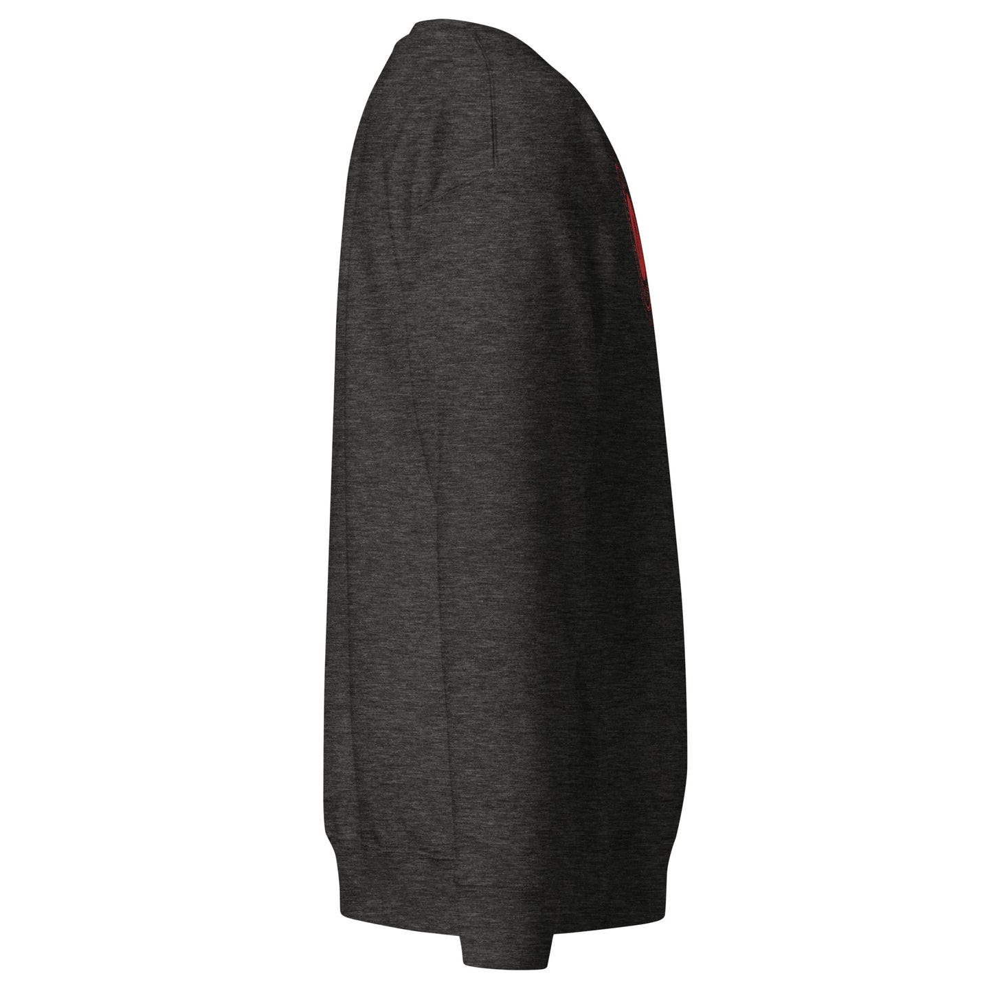 Men's thick sweatshirt