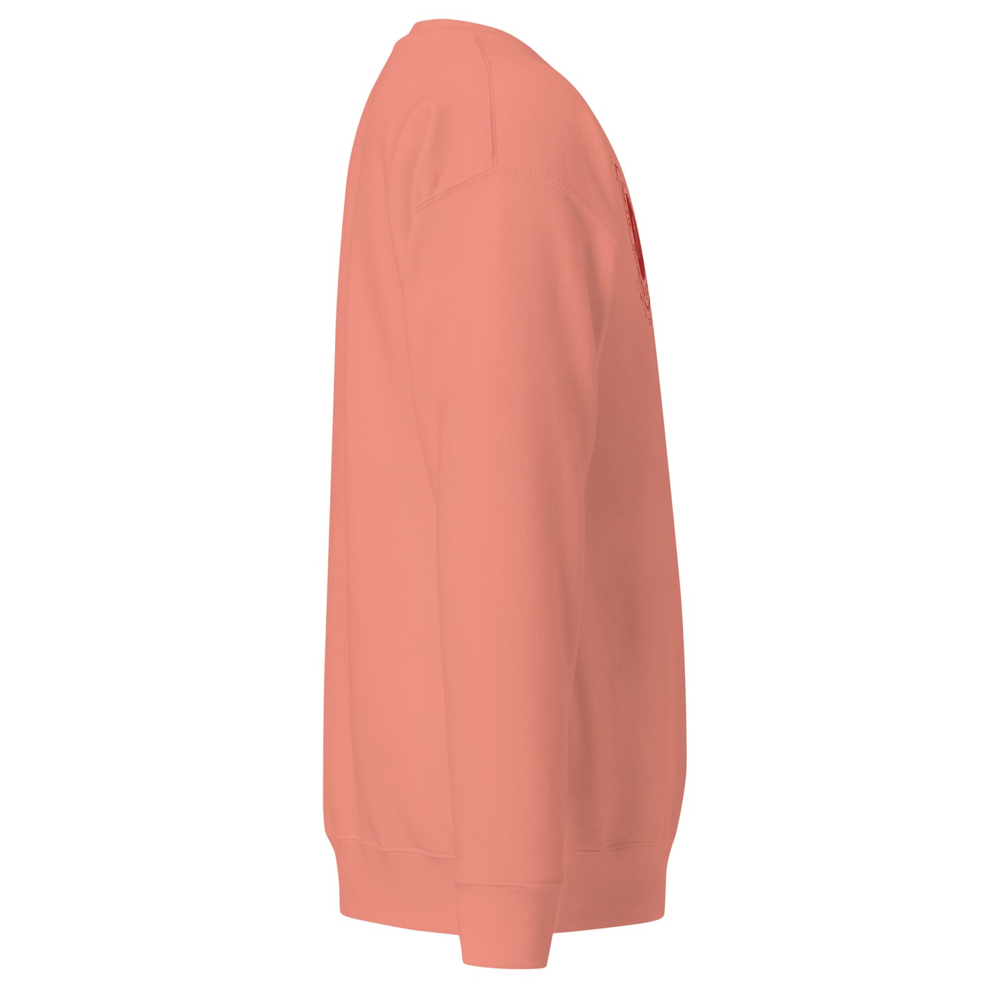 Men's thick sweatshirt