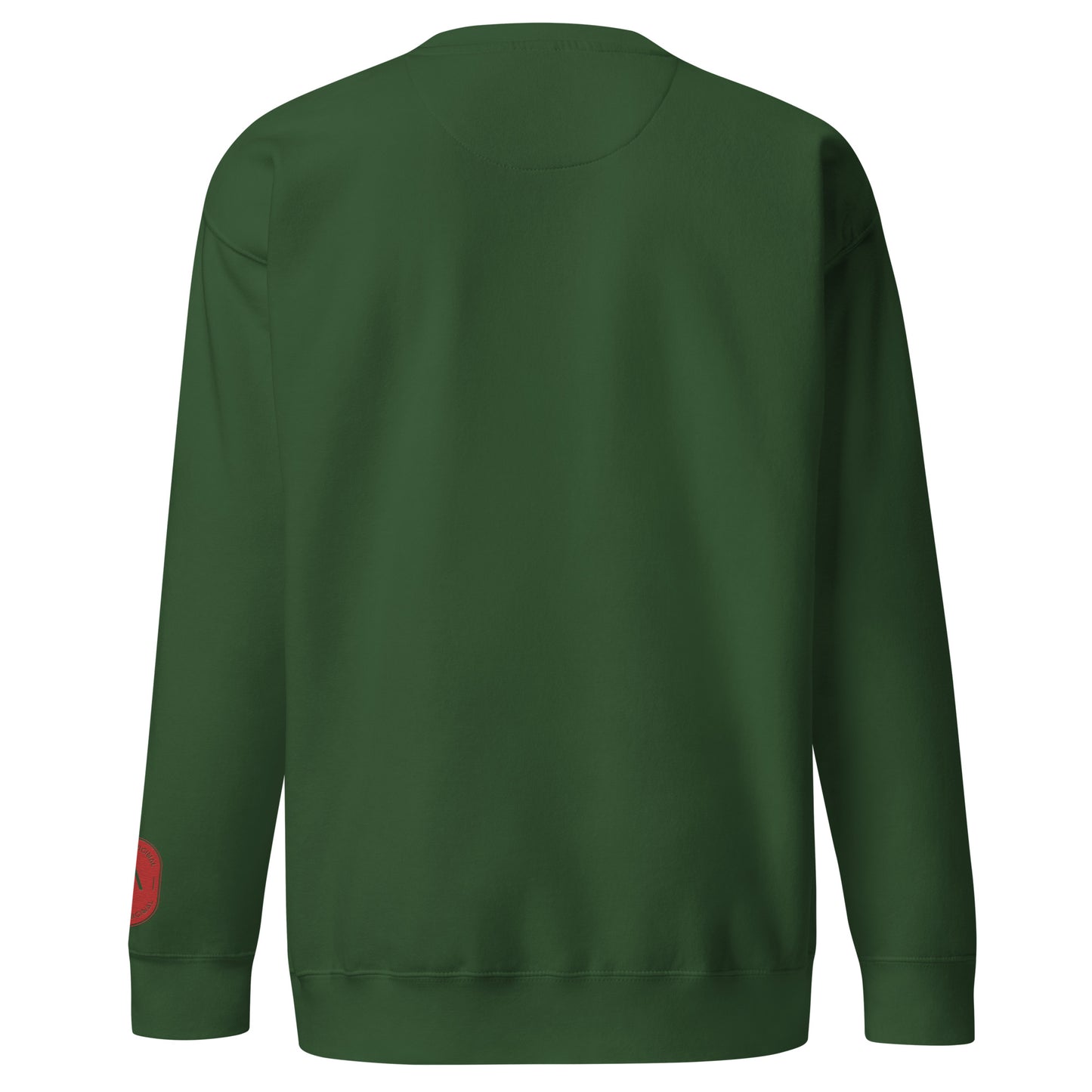 Men's thick sweatshirt
