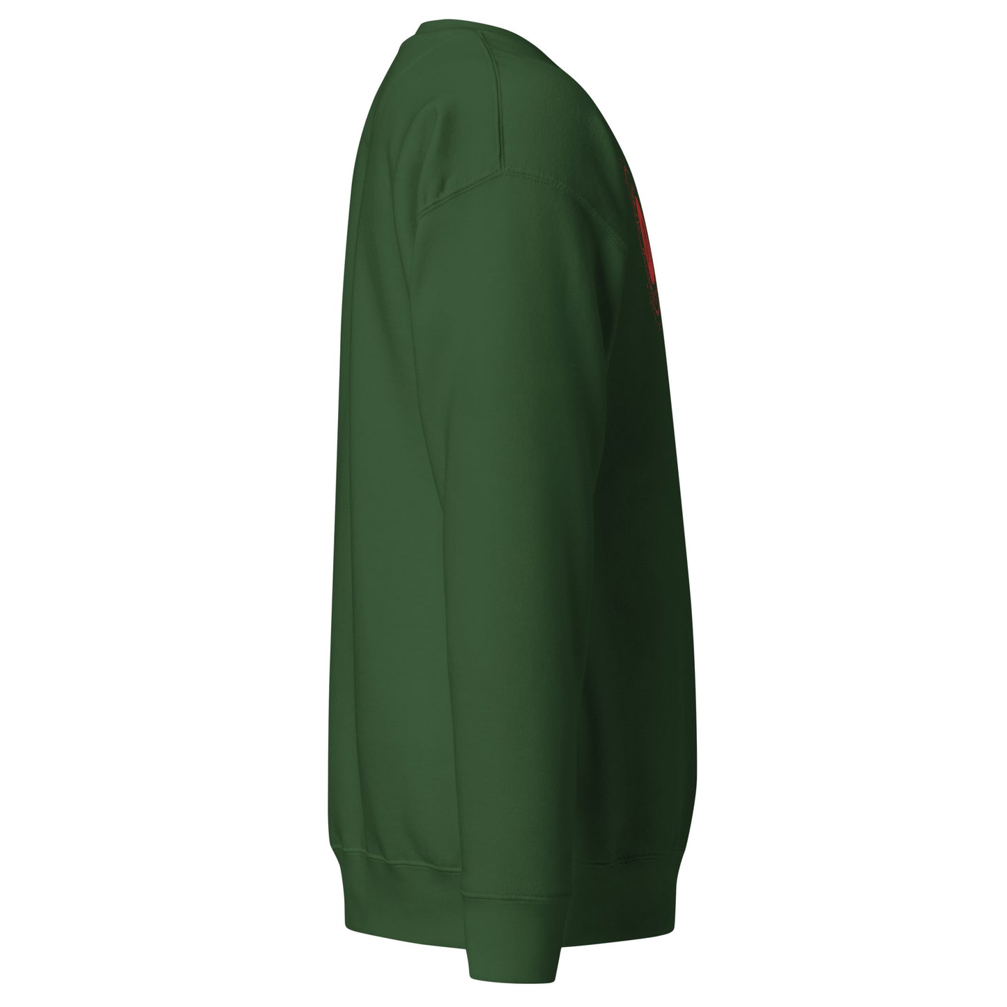 Men's thick sweatshirt