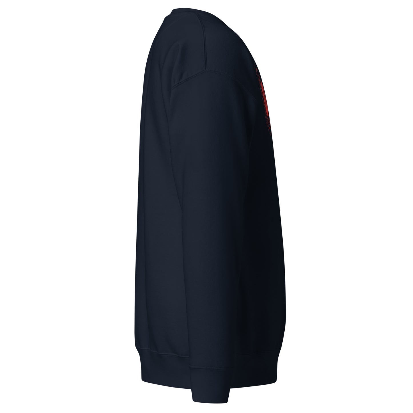 Men's thick sweatshirt