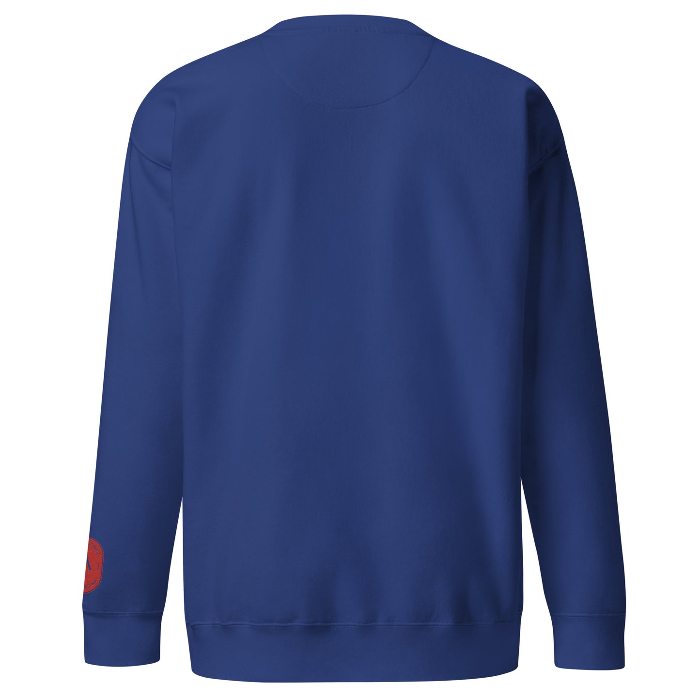 Men's thick sweatshirt