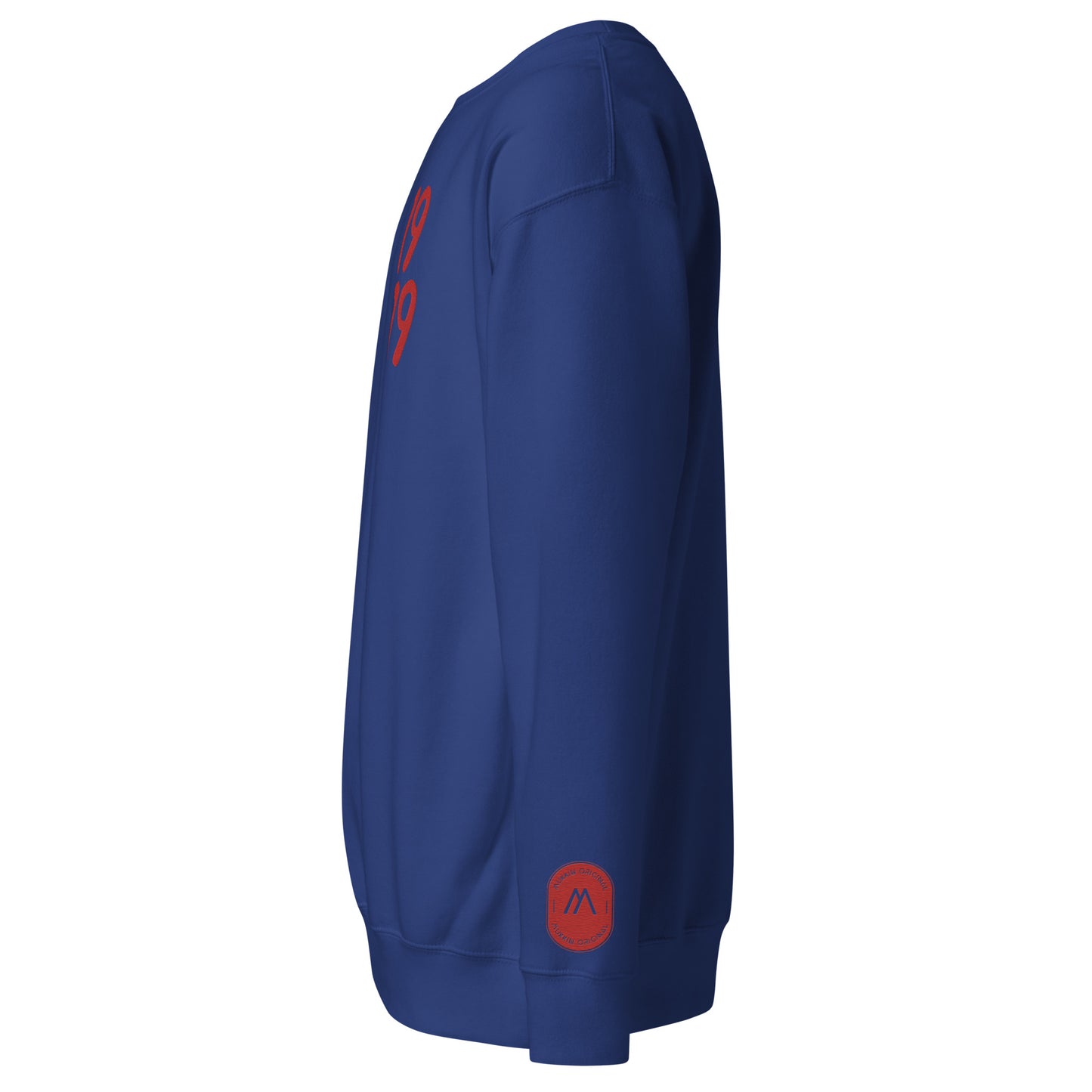 Men's thick sweatshirt