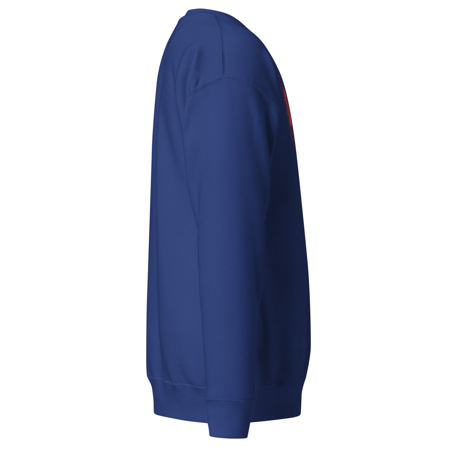 Men's thick sweatshirt