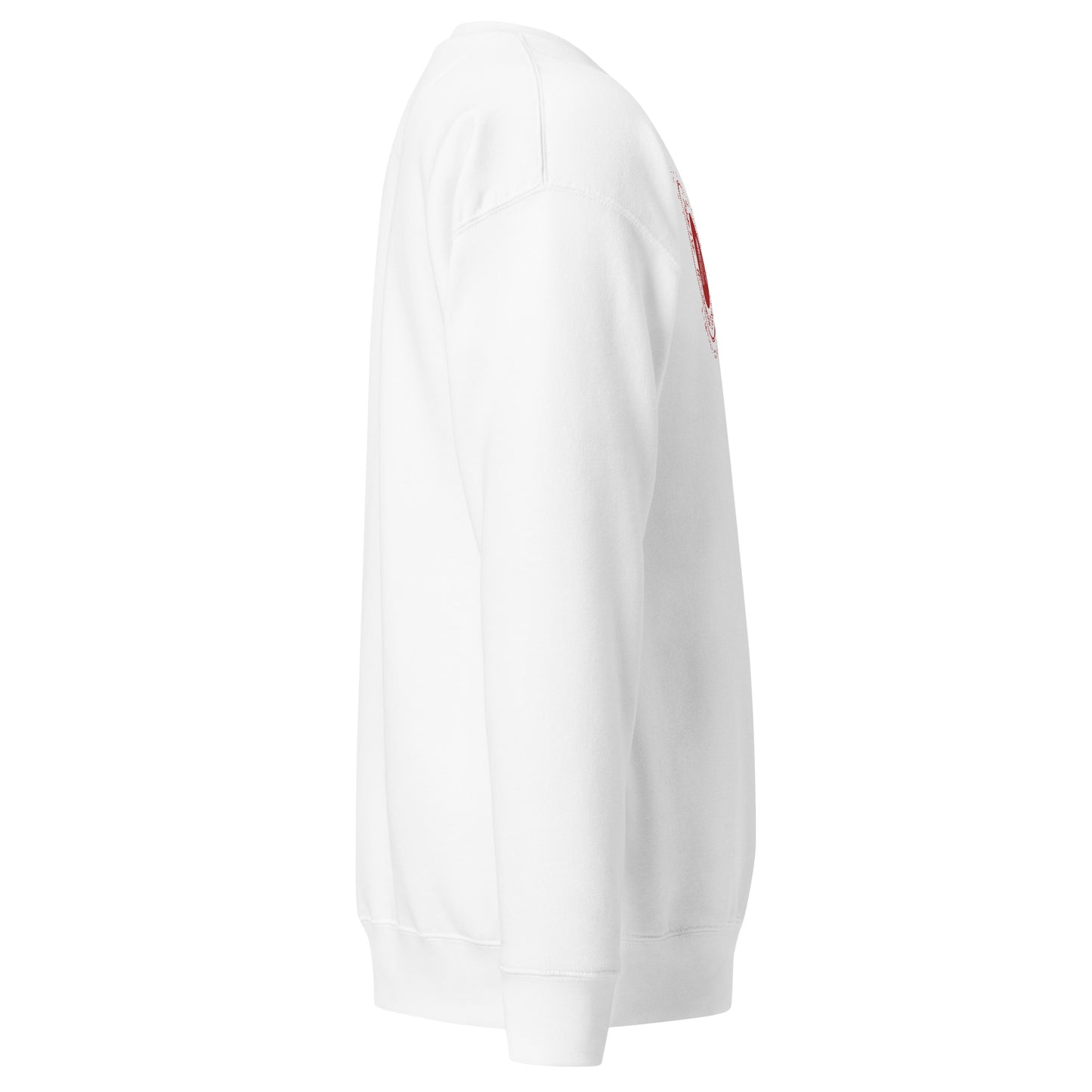 Men's thick sweatshirt