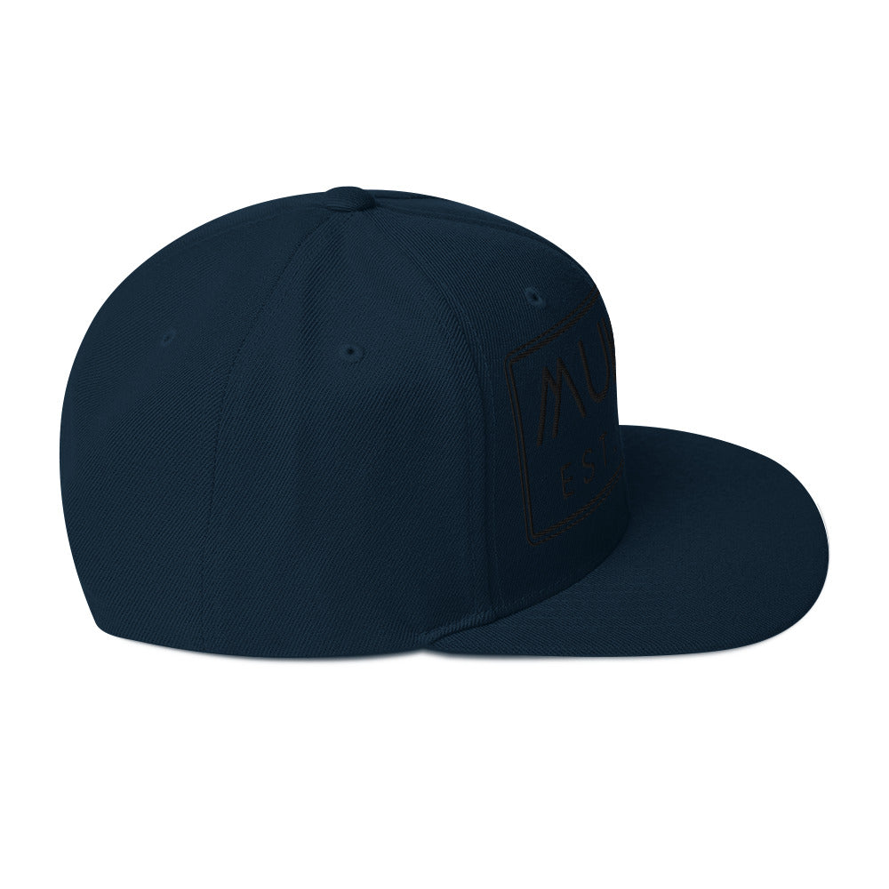 Gorra snapback