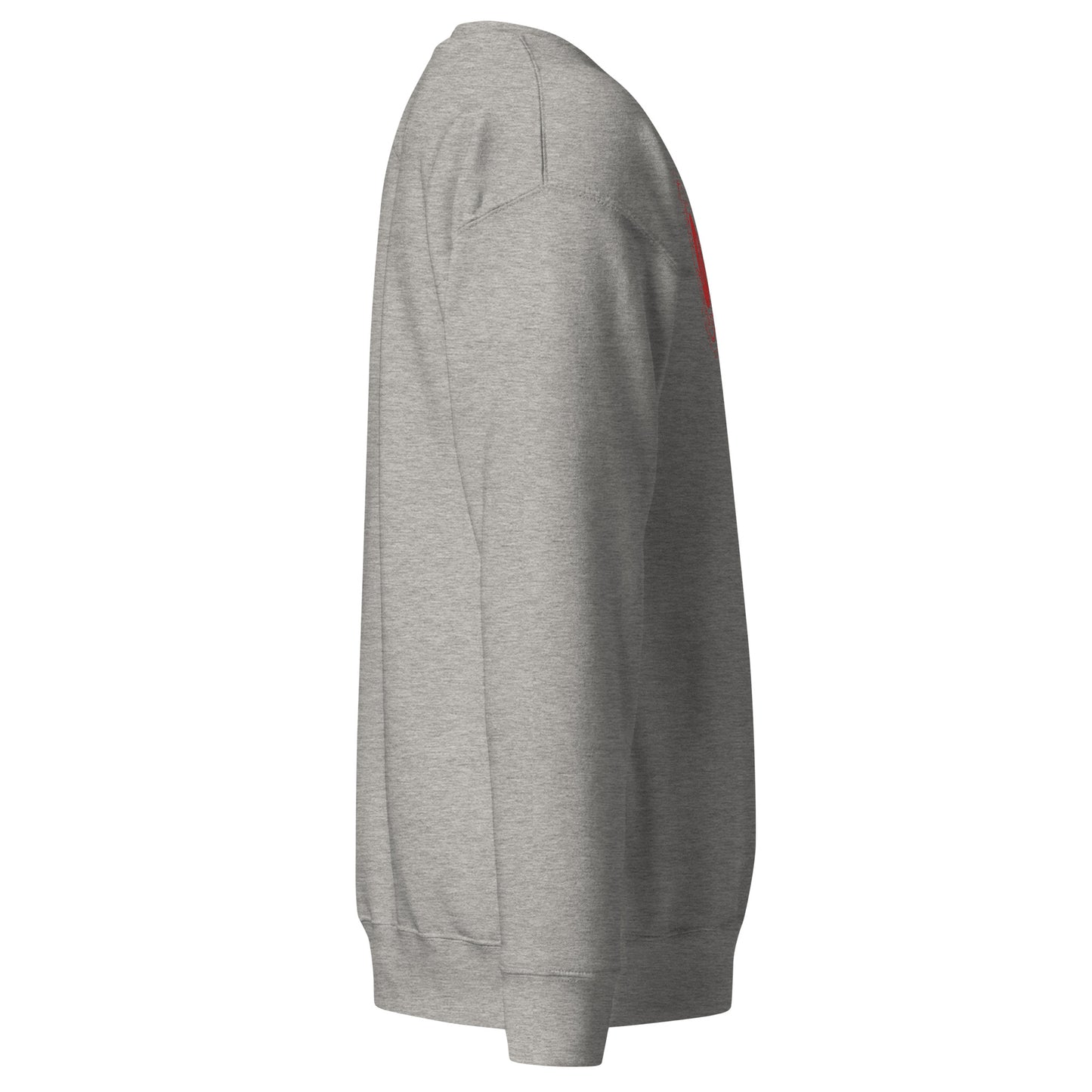 Sudadera gruesa hombre